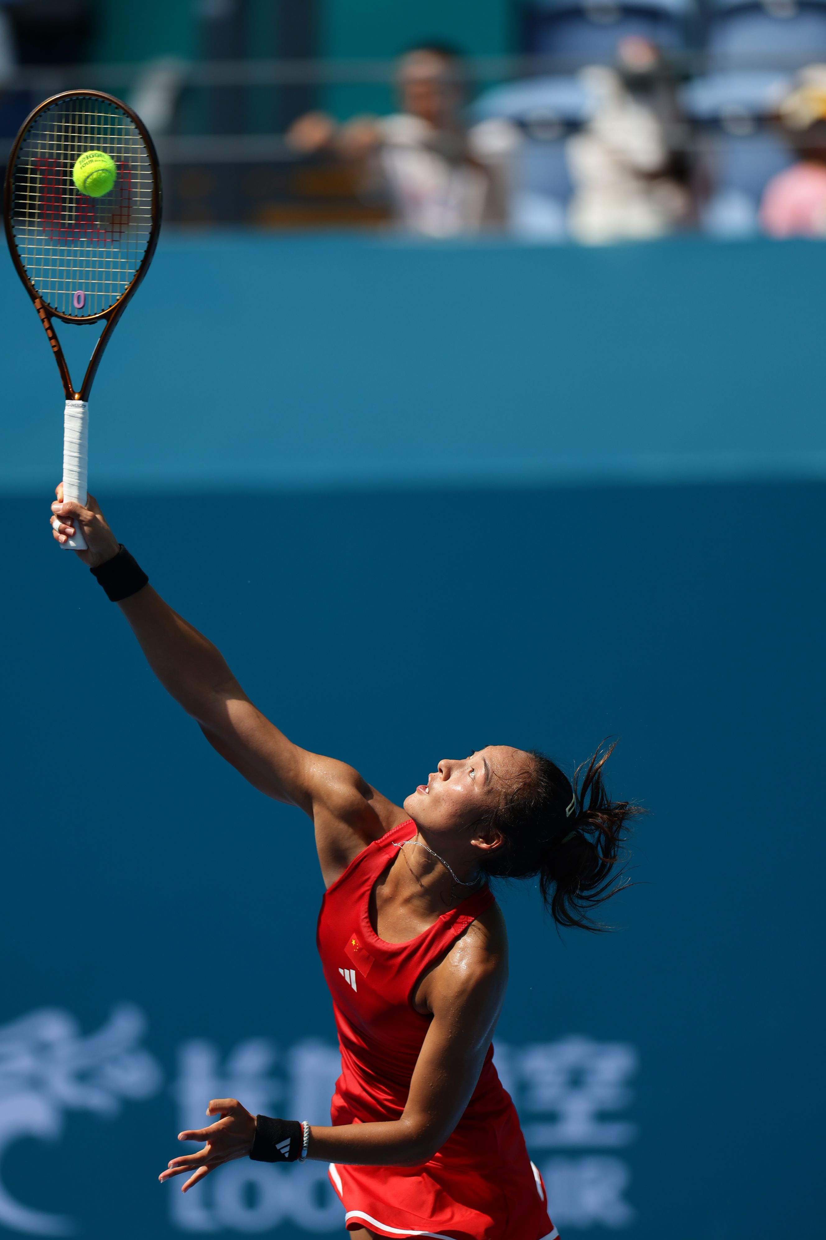 历过类似的 历过类似的