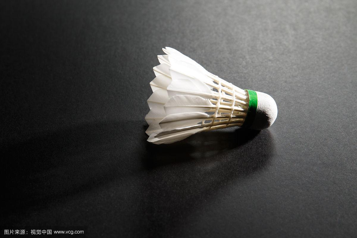 成为众人瞩 成为众人瞩